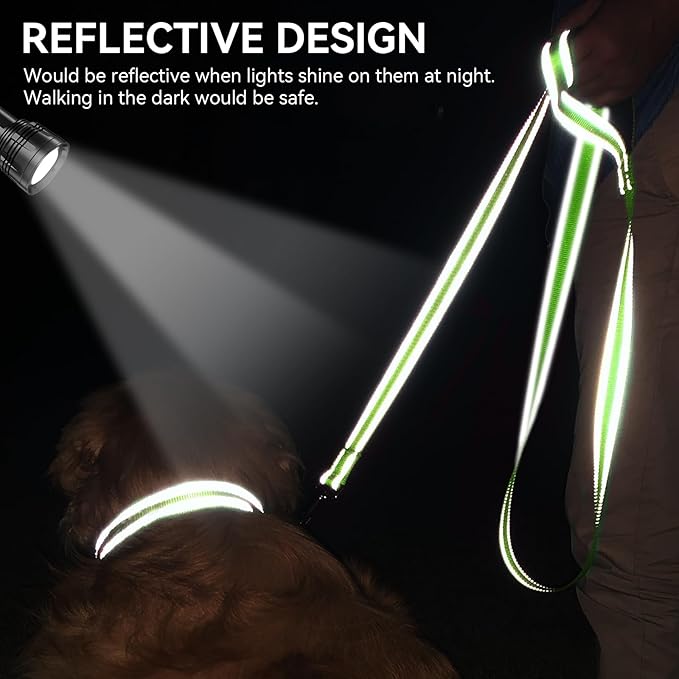 Joytale Dog Leash, 6 FT Double-Sided Reflective, Padded Handle Nylon Heavy Duty Leashes for Medium & Large Dogs Walking, Green