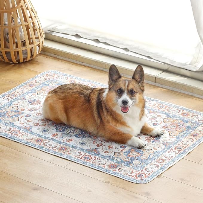 Washable Pee Pads for Dogs 2 Pack Reusable Puppy Training Pads 40"x26" Super Absorbent Waterproof Dog Training Pads, Non-Slip Potty Pads, Whelping Pads Litter Mat