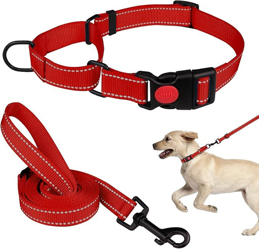 Martingale Dog Collar and Leash Set Martingale Collars for Dogs Reflective Martingale Collar for Small Medium Large Dogs(Red&S)