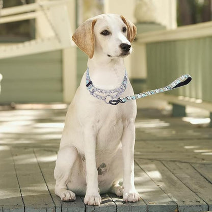 Martingale Dog Collar and Leash Set, Stainless Steel Chain, No Pull Training Collar with Flower Design, for Small, Medium, Large Dogs (NO35, L)