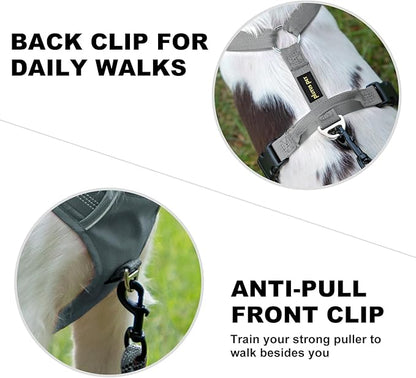 Plutus Pet No Pull Dog Harness, Reflective Adjustable Dog Vest Harness with Handle, Escape Proof, Soft Padded for Small Medium Large Dogs (Gray, S)