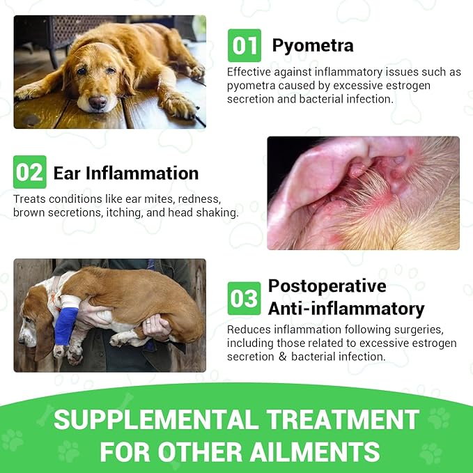 Milk Thistle for Dogs - Liver & Kidney Support, Natural Detox & Hepatic Health, with Wild Alaskan Salmon Oil & Curcumin, Omega 3 and Silymarins - Veterinarian-Formulated Herbal Supplement 2 Oz