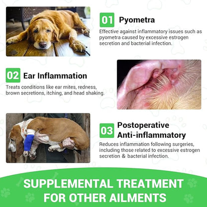 Milk Thistle for Dogs - Liver & Kidney Support, Natural Detox & Hepatic Health, with Wild Alaskan Salmon Oil & Curcumin, Omega 3 and Silymarins - Veterinarian-Formulated Herbal Supplement 2 Oz