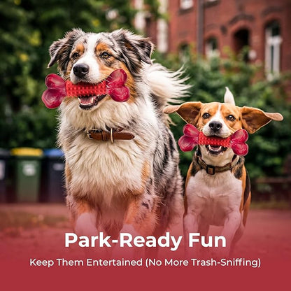 Apasiri 2-Pack Tough Dog Toys for Aggressive Chewers: Beef Flavored Long Lasting Dog Bones for Large Dogs, Heavy Duty Nylon & Rubber Dog Chew Toys to Keep Them Busy, Medium & Large Breed, Red