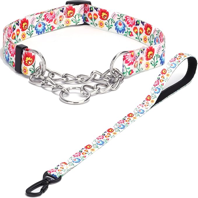 Martingale Dog Collar with Stainless Steel Chain - Limited Chain Cinch Training Collar for No Pull Training Dog - Flower Multicolor Cute Patterns - Premium No Slip Collar (L, White Set)