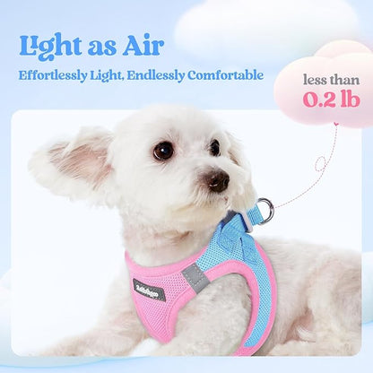 rabbitgoo Dog Harness Medium Sized and Leash Set, Step in Soft Light Puppy Vest, Breathable Mesh Pet Harness, Reflective for Safe Easy Walking, Blue & Light Pink XXL