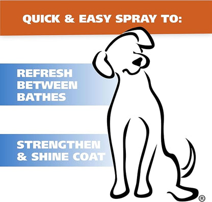 Wahl USA Cornflower Scented Pet Deodorant Spray for All Dogs & Cats – Clean Fresh Smell Refreshes & Deodorizes – 8 oz - Model 820009A
