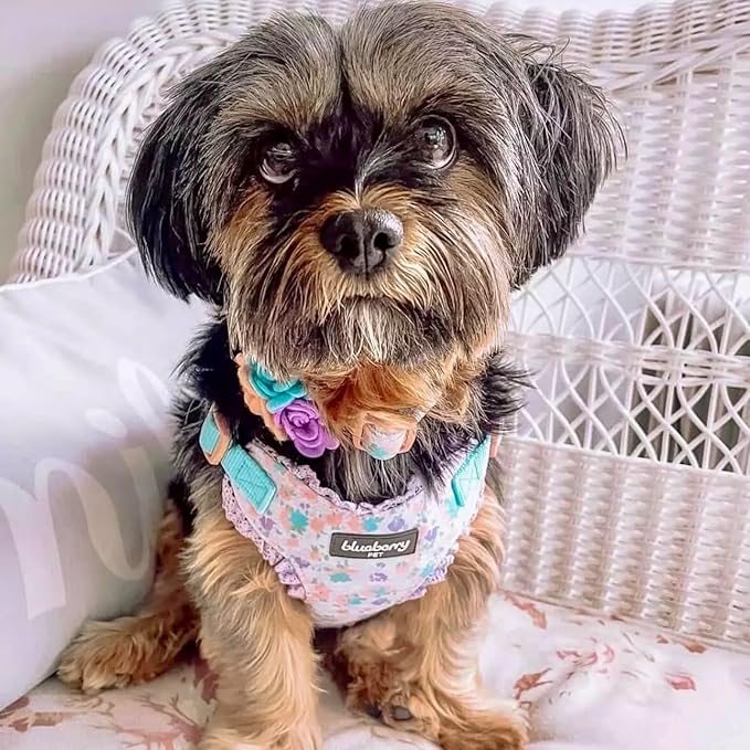 Blueberry Pet Floral Dog Collar with Detachable Flower, Medium, Lavender, Adjustable Neck 14.5"-20", 3/4" Width, Eco-Friendly Buckle, Stylish Dog Collars for Medium Dogs, Safe Puppy Collar