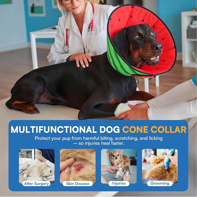Queenmore Soft Cone for Dogs, Dog Cones for Large Dogs to Stop Licking, Dog Soft Cone, Elizabethan Collar for Pets, Alternative Pet Recovery Collar for Wound Healing, Watermelon L