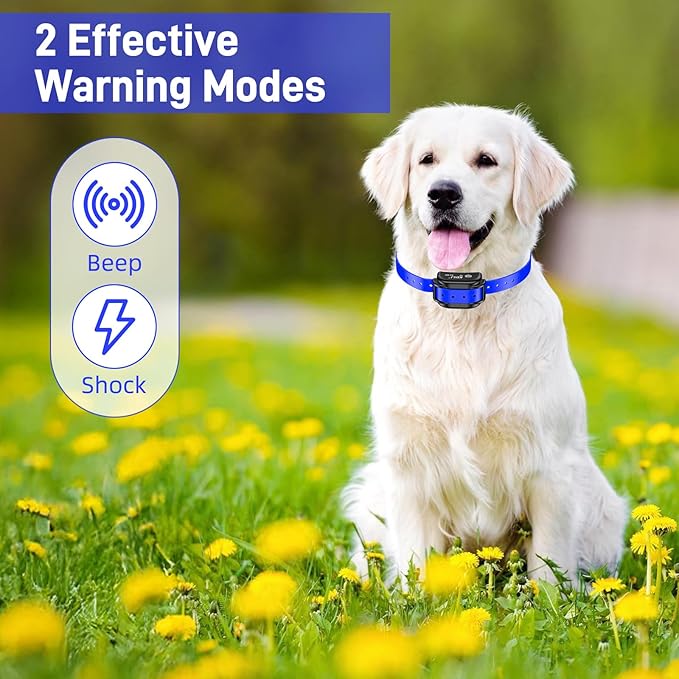 Basic In-Ground Pet Fence - Underground 2 Dogs Fence System, Electric Fence 2 Dogs Training Collar Dog Over 20lb, Wireless Electric Dog Fence System (Collar only)
