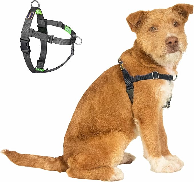 Freedom No Pull Dog Harness, Easy Walker, Stop Pulling with Two Stainless D-Rings, Comfortable, Sewn-in Instructions Tags for Easy Use, for Small Dogs Weight 20-30 lbs (Black, Small)