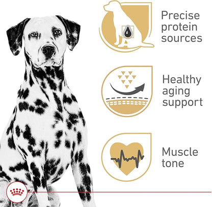 Royal Canin Breed Health Nutrition Dalmatian Adult Dry Dog Food, 30 lb Bag
