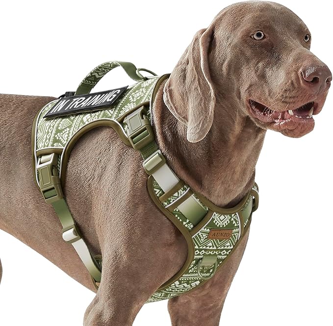 Heavy Duty No Pull Tactical Dog Harness for Large Dogs, Labrador Golden Retriever German Shepherd, Adjustable Soft Padded Dog Vest, Breathable Pet Oxford Vest with Easy Control Handle, Green Ethnic L