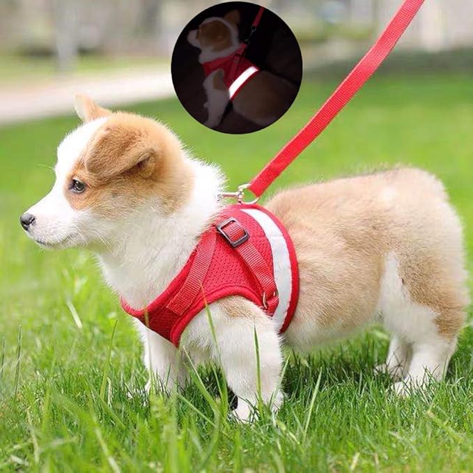 FEimaX Dog Harness and Leash Set for Walking, Soft Mesh Adjustable Easy Control Lightweight Cat Vest Harnesses with Reflective Strips, Escape Proof Small Dogs Cats Vests (Red, Medium)