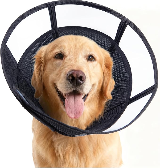 Soft Dog Cone, Stop Licking Deep Pet Recovery Collar After Surgery for Large Medium Dogs, Clear Plastic Breathable Elizabethan Head Neck Circle, Adjustable Comfortable Cones 28cm Long (ML Black)