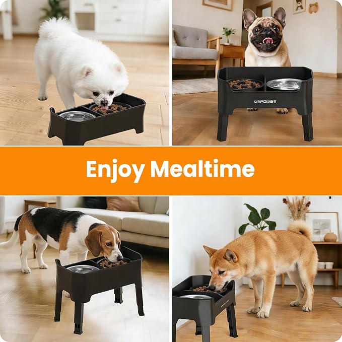 URPOWER 3-in-1 Elevated Dog Bowls - Mess Proof 4 Height Adjustable Raised Stand with 2 Stainless Steel Food Bowls for Small, Medium Dogs