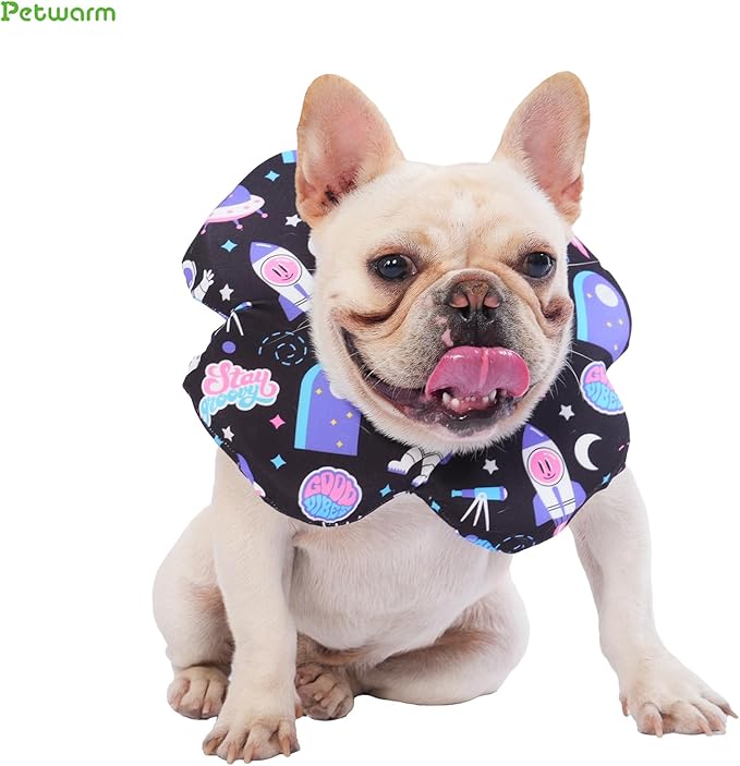 PetWarm Dog Recovery Collar, Recovery Collar for Dogs, Lightweight Soft Flower Design, Comfortable Neck Protector Helps Discourage Licking, Post-Visit Protective Collars, Cosmic Print, Purple, L