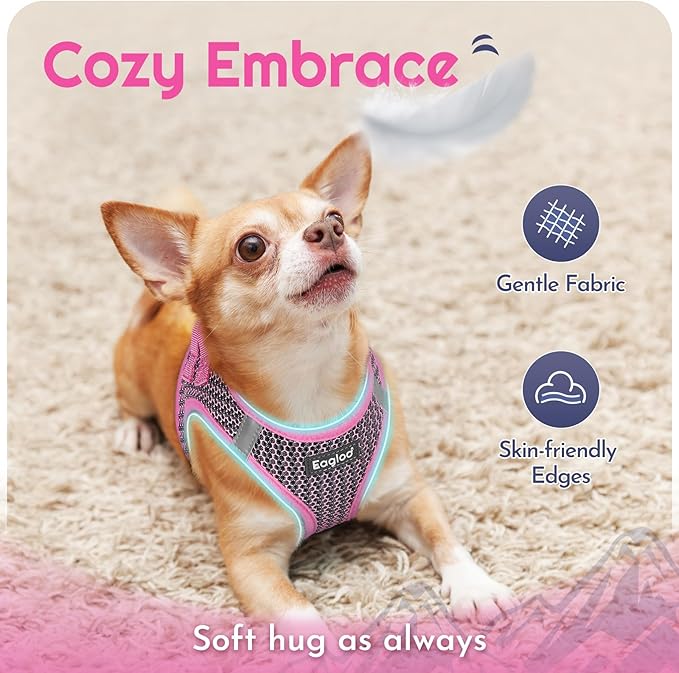 Eagloo Small Dog Harness and Leash Set, Step in Puppy Vest with Breathable Soft Mesh, Walking Reflective Pet Harness for Medium Small Dogs, Pink, L