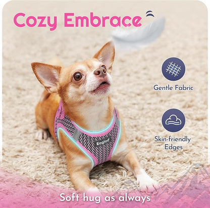 Eagloo Small Dog Harness and Leash Set, Step in Puppy Vest with Breathable Soft Mesh, Walking Reflective Pet Harness for Medium Small Dogs, Pink, L