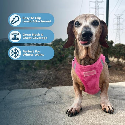 Best Pet Supplies - All Weather Plush, Reflective, No Pull Harness for Small, Medium Dogs, Cats - Secure with Hook & Loop Fastener, Buckle, Double D-Rings - Fuchsia Corduroy, M