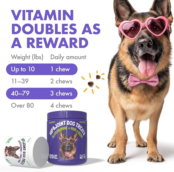 Hemp Hip & Joint Supplement for Dogs Soft Chews Made in USA Functional Glucosamine for Dogs Chondroitin MSM Turmeric Hemp Seed Oil Natural Pain Relief Mobility Advanced Joint 120 Treats
