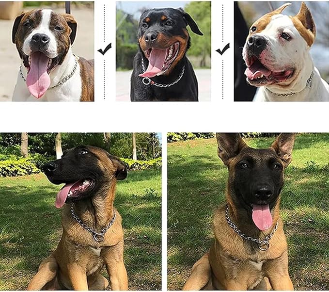 Chain Choke Collar for Dogs, Metal Slip Link Training Heavy Duty Dog Collar Martingale Puppy Collars for XXS XS Small Medium Large Big XL Breed Dogs (Silver, XS(Neck Max 12inch) D2.0mm)