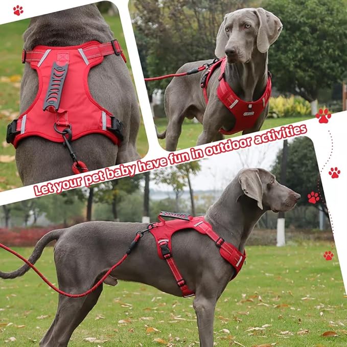 Dog Harness No Pull Adjustable Reflective,for Medium and Large Small Dog with Leash 59.06in (Red, S)