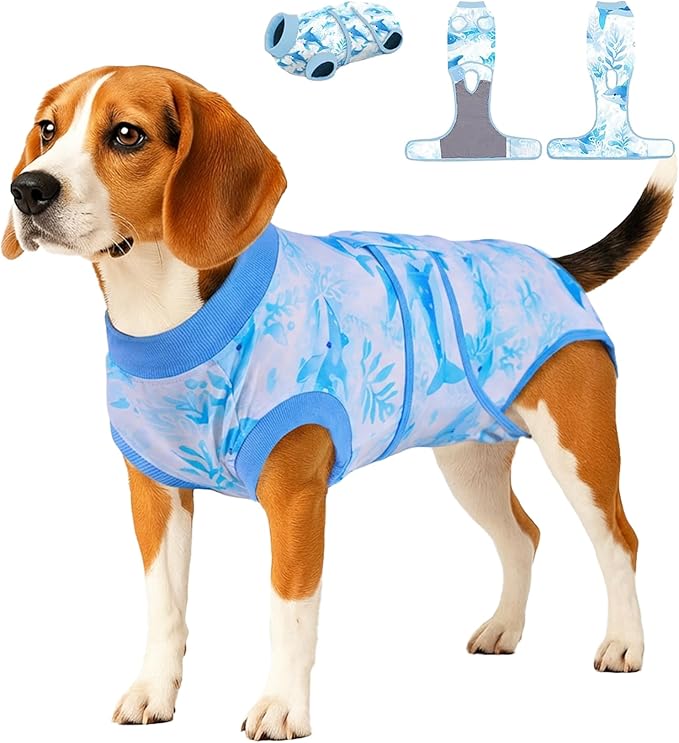 PetWarm Recovery Suit for Dogs, Surgical Suit for Dogs Female Spay Male Neutered, After Surgery Dog Onesie, Anti-Licking Dog Surgery Recovery Suit, Marine Animal Patterns, Blue, M