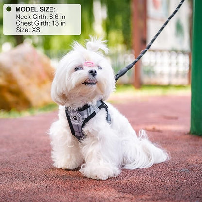 BEAUTYZOO Small Dog Harness and Leash Set,Step in No Choke No Pull Soft Mesh Dog Harnesses Reflective for Extra-Small Medium Puppy Dogs and Cats, Plaid Dog Vest Harness for XS S Pets, Grey S