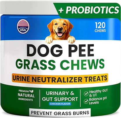PAWFECTCHEW Green Grass Dog Chews w/Probiotics - Prevent Urine Burning Grass - Dog Pee Grass Spot Saver - Dog Urine Neutralizer for Lawn Treats, UT & Gut Health for Dogs, Lawn Burn from Dog Urine