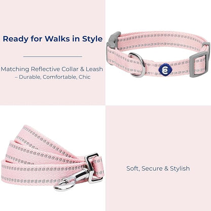 Blueberry Pet Essentials Reflective Dog Collar & Leash Set, Adjustable for Medium Dogs | Safe Walking Gear for Pet Parents, Puppy Training & Daily Use MediumDogs, Baby Pink