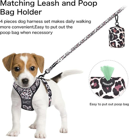 Petmolico No Pull Dog Harness Set with Leash Attachment Easy Control Handle Reflective Harness Vest Small Breed, Puppy Vest and Leash Set with Poop Bag Holder, Medium - Leopard