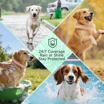 4 Pack Flea Collar for Dogs, Flea and Tick Prevention for Dogs, Dog Flea and Tick Treatment, 32 Months Protection, Waterproof, Adjustable Tick Collar for Dogs, One Size Fits All, Red and White