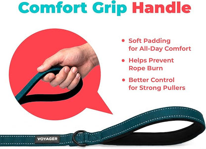 Best Pet Supplies Voyager Reflective Dog Leash or Collar with Neoprene Handle, for Small, Medium, and Large Breed Puppies, Cute and Heavy Duty for Walking, Running and Training - Blue (Leash), M