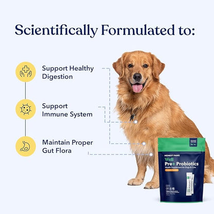 Honest Paws Probiotics for Dogs - Dog Digestion Gut Health Probiotic Powder with Prebiotic Made in The USA, Digestive and Immune Support - Digestive Enzymes with Pumpkin Flavor (30 Sticks)