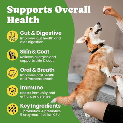 Probiotics for Dogs - Digestive & Gut Health for Sensitive Stomachs ，Dog Probiotics Powder for Skin & Coat, Breath and Immunity with 11 Strains, 4 Prebiotics, 5 Enzymes, Pumpkin, 60 Packets, Chicken