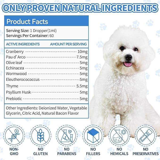 Natural Antibiotics for Dogs, Herbal Dog Antibiotics Supplement with Prebiotics for Dog Allergy Itch Relief Cough Immune Support Dog UTI Comfort for All Breeds and Ages-Chicken Flavor | 2 fl oz