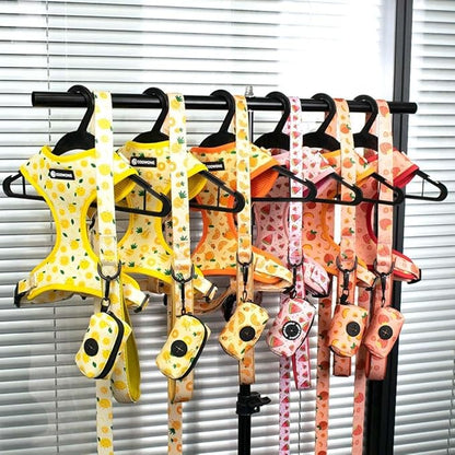 Dog Harness and Leash Set, Adjustable Dog Harness, Dog Leash, No Pull No Choke Puppy Harnesses for Walking Training for Small, Medium Pet (Lemon, S(Chest 13-19", Neck 9.5-13.1"))