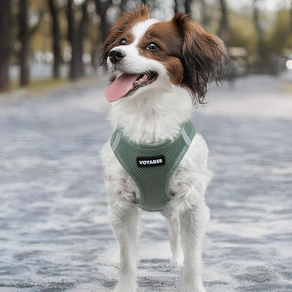 Best Pet Supplies Voyager Step-in Air Harness - All Weather Mesh, Reflective, No Pull Harness for Dogs, Cats - Secure with Hook & Loop Fastener, Buckle, Double D-Rings - Moss Green, XS