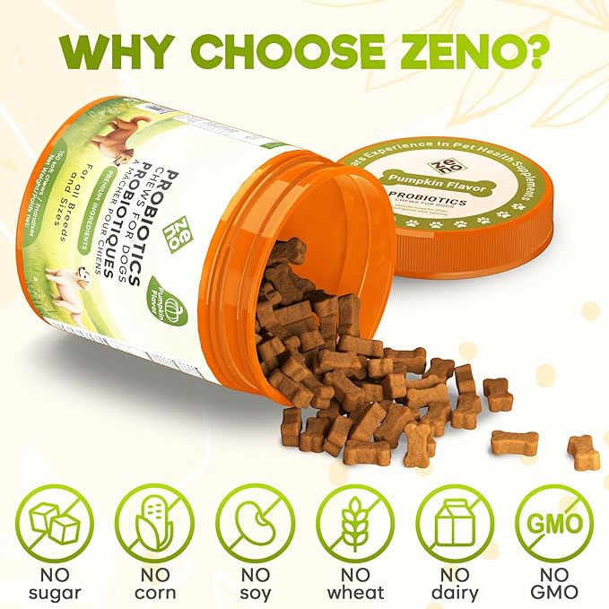 ZENO Probiotics for Dogs Chews - 150 pcs - Digestive & Gut Health Support - Probiotic Chews for Dogs with Enzymes & Natural Ingredients - US Formula - Pumpkin Flavor