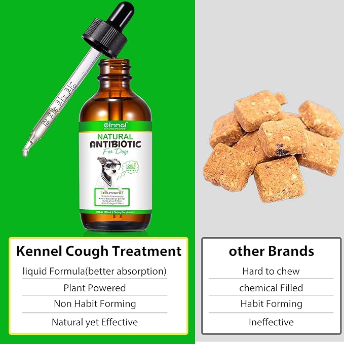 Antibiotics for Dogs, Natural Dog Antibiotics Supports Allergy, Itch Relief, UTIs & Ear Infections, Dog Multivitamin for Pets Support Skin, Coat, & Digestion, Bacon Flavor - 60ml x 2
