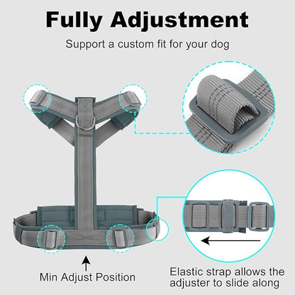 Plutus Pet No Pull Dog Harness, Adjustable Nylon Harness with Soft Padding, Reflective and Heavy Duty Dog Harness for Small, Medium, Large Dogs(Gray, XL)