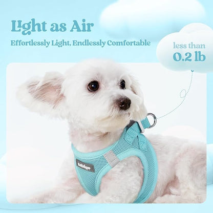 rabbitgoo Dog Harness Small Sized and Leash Set, Step in Soft Light Puppy Vest, Breathable Mesh Pet Harness, Reflective for Safe Easy Walking, Mint Blue S
