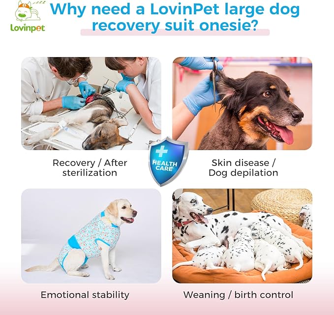 LovinPet After Surgery Onesie for Dogs - After Surgery Onesie for Dogs Female & Male Anti-Licking Protection Full Body Coverage for Anti-Shedding
