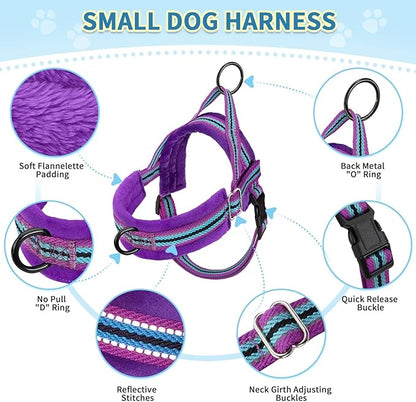 SlowTon No Pull Small Dog Harness and Leash Set, Puppy Soft Vest Harness Neck & Chest Adjustable, Reflective Lightweight & Anti-Twist Pet Lead Combo for Small Medium Dogs (PU-Front Clip, M)