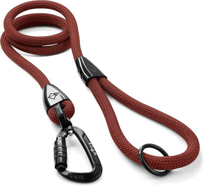 MADE TO ROAM Premium Explorer Leash - Climbing Rope Leash with Autolocking Aviation Aluminum Carabiner - Arizona Heartbeat, 4ft