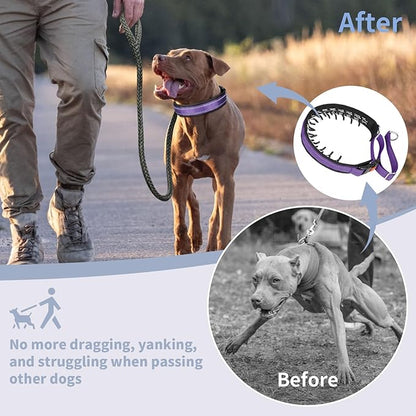 Mayerzon Martingale No Pull Collar for Medium Large Dogs, Patented Anti Pull Dog Collar with Buckle for Walking Training, with Reflective Stitching and Neoprene Padding, Adjustable(Purple, M)
