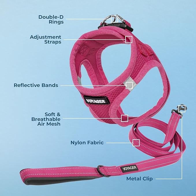 Best Pet Supplies Voyager Step-in Air All Weather Mesh Harness and Reflective Dog 5ft Leash Combo with Neoprene Handle, for Small, Medium and Large Breed Puppies - Set (Fuchsia), Large