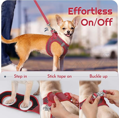 Eagloo Small Dog Harness and Leash Set, Step in Puppy Vest with Breathable Soft Mesh, Walking Reflective Pet Harness for Extra Small Dogs, Red, XXS