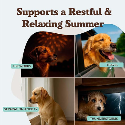 Natural Dog Company Calming Chews for Dogs, Stress & Anxiety Relief Supplement 90 cnt with Chamomile, Valerian Root & Melatonin, Natural Soothing Chews for Travel, Thunder, Fireworks & Separation